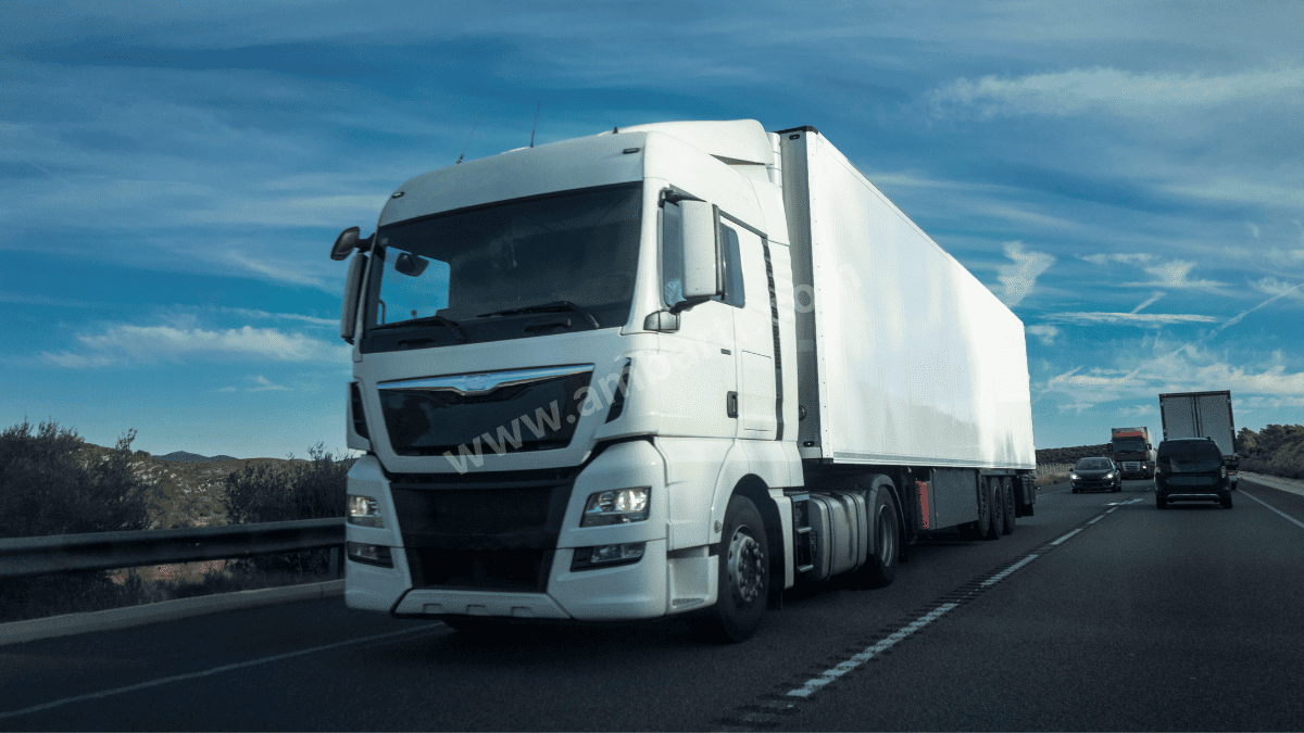 Pendik Şehirler Arası Taşıma